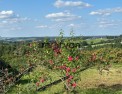 photo annonce immobilière, morvan