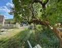 photo annonce immobilière, morvan