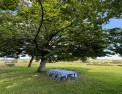 photo annonce immobilière, morvan