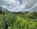 photo annonce immobilière, morvan