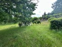 photo annonce immobilière, morvan