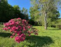 photo annonce immobilière, morvan